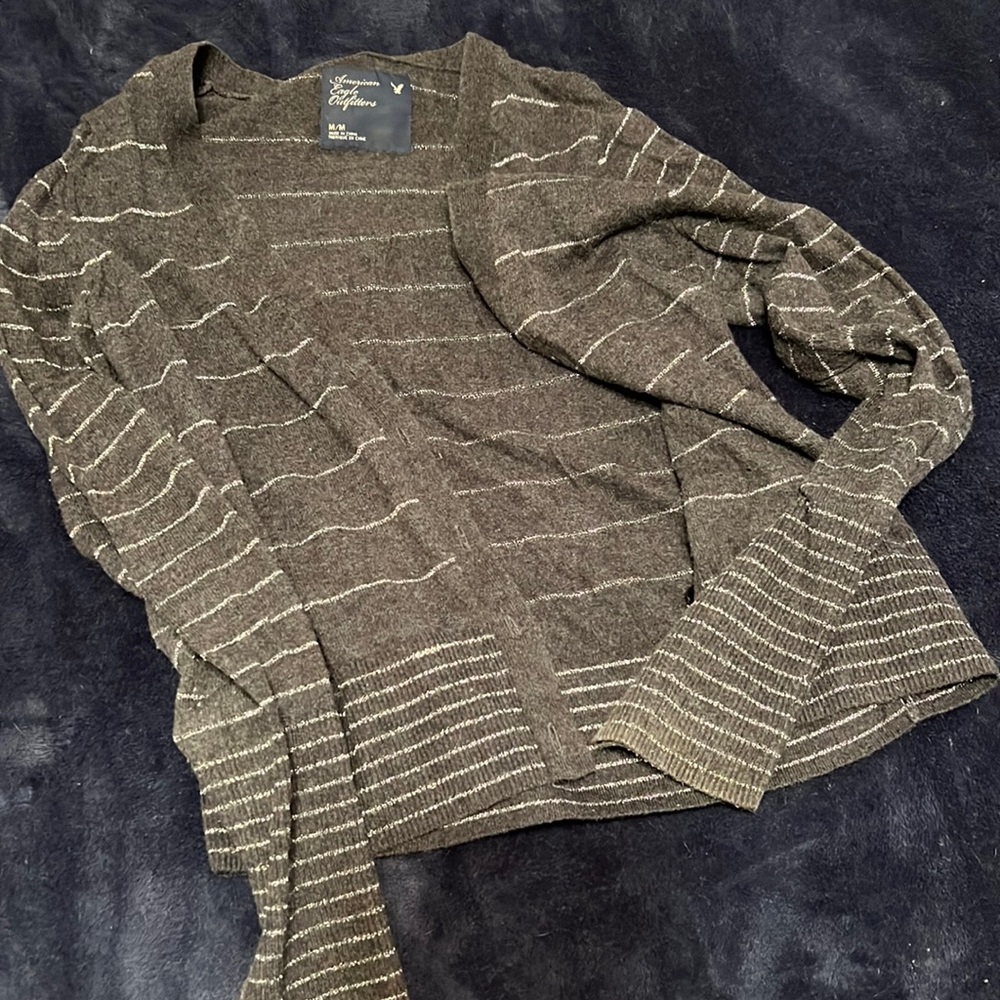 American Eagle Cardigan